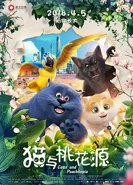 成年人午夜视频